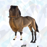 Super-Horse