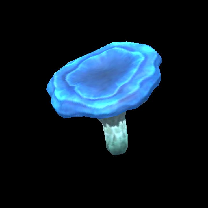 Mushroom_06