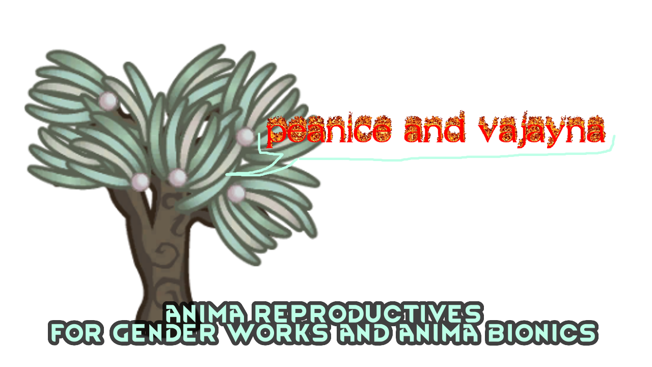 Anima Reproductives