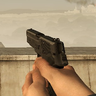 P226 on L4D1 Animations

