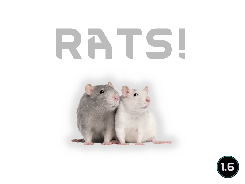 Rats!