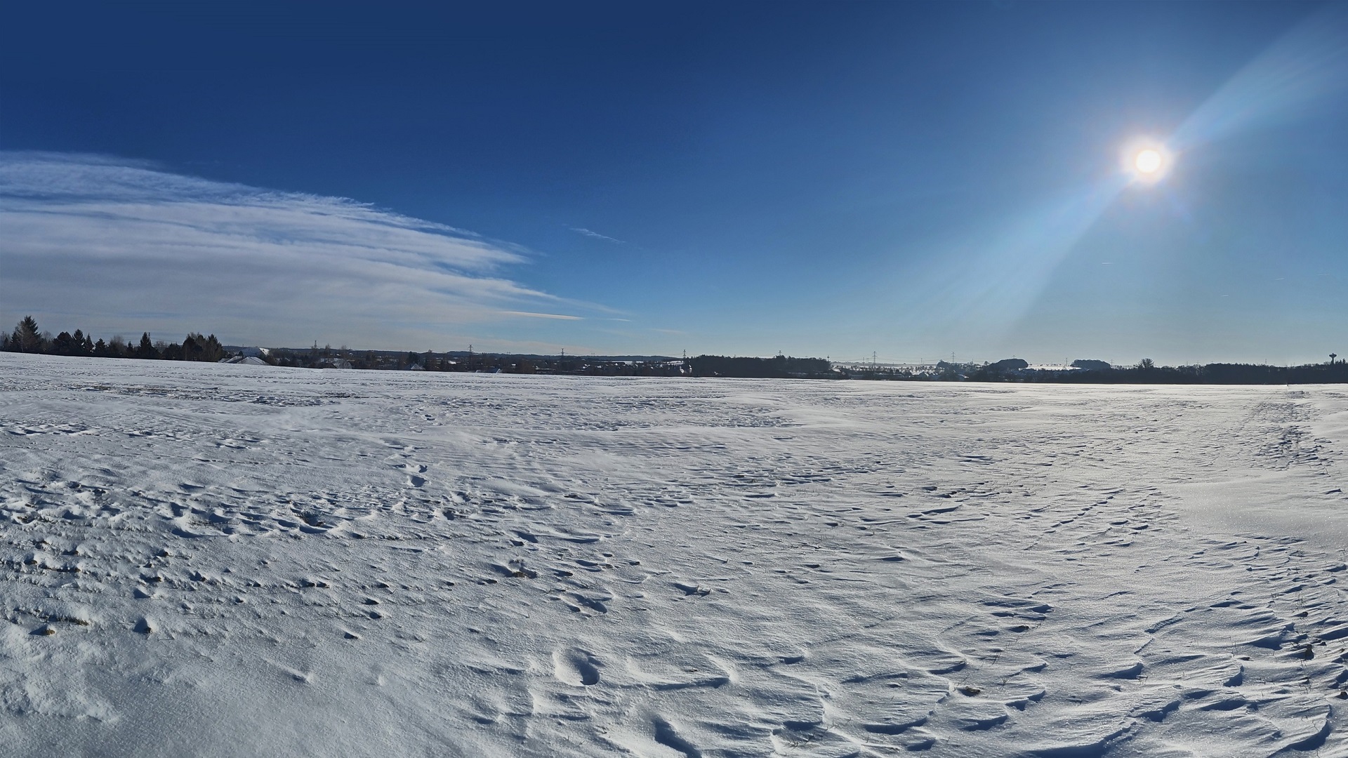 Winter field 2026