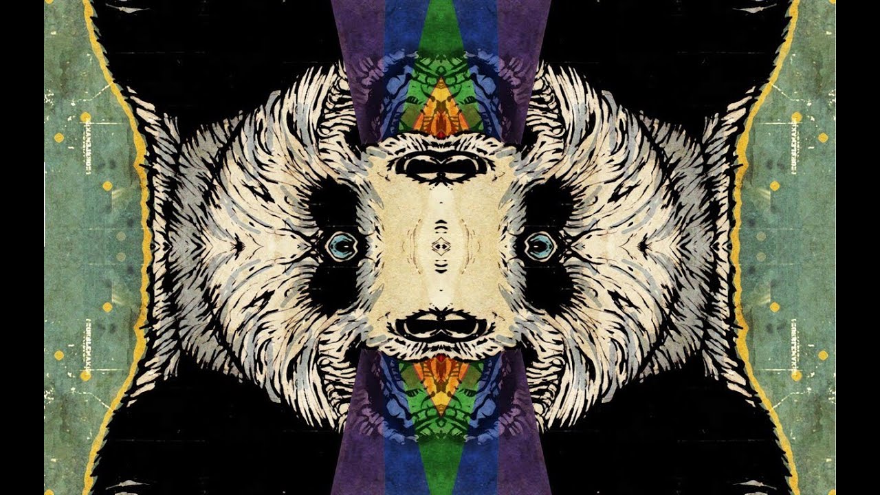 centipede