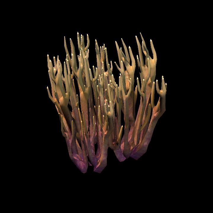 DA_CoralBranch4_3a