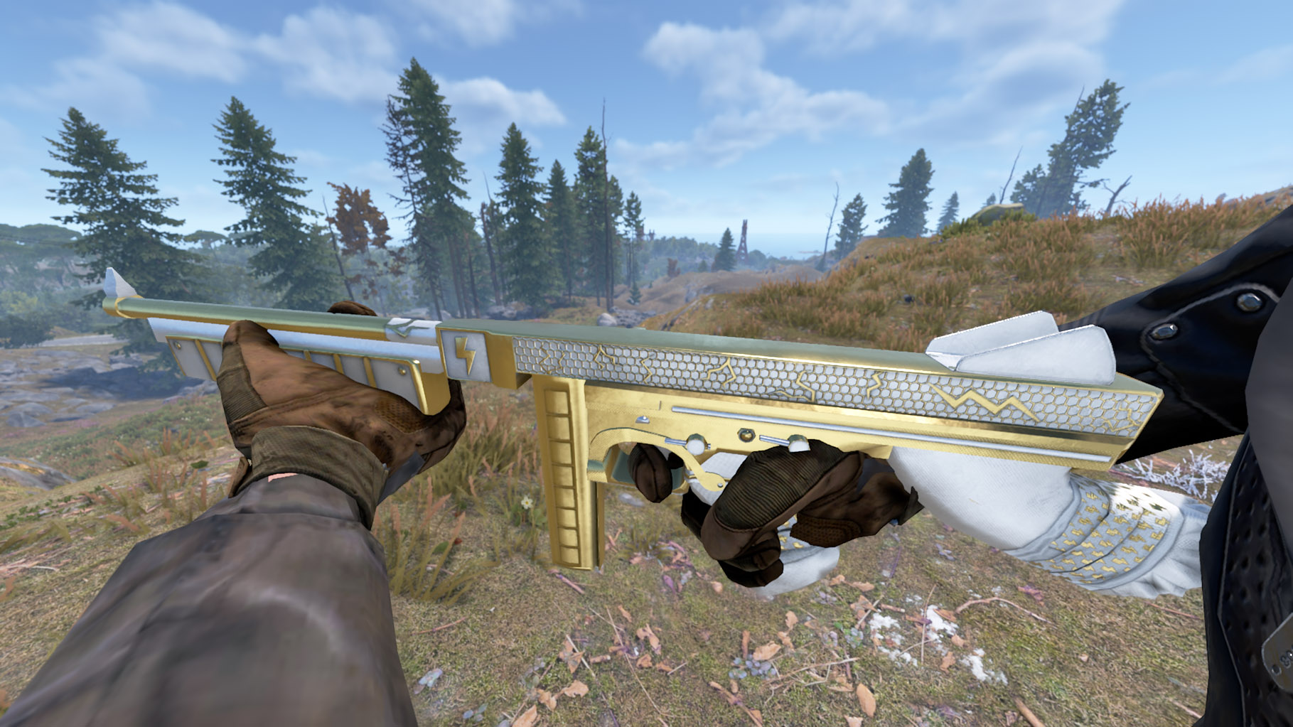 Thundergold Thompson thumbnail 11