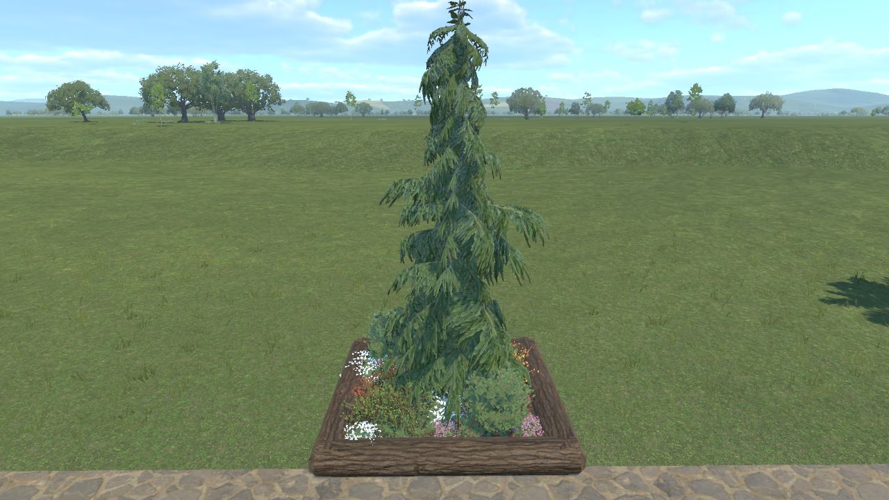 Small Planter Boreal 01