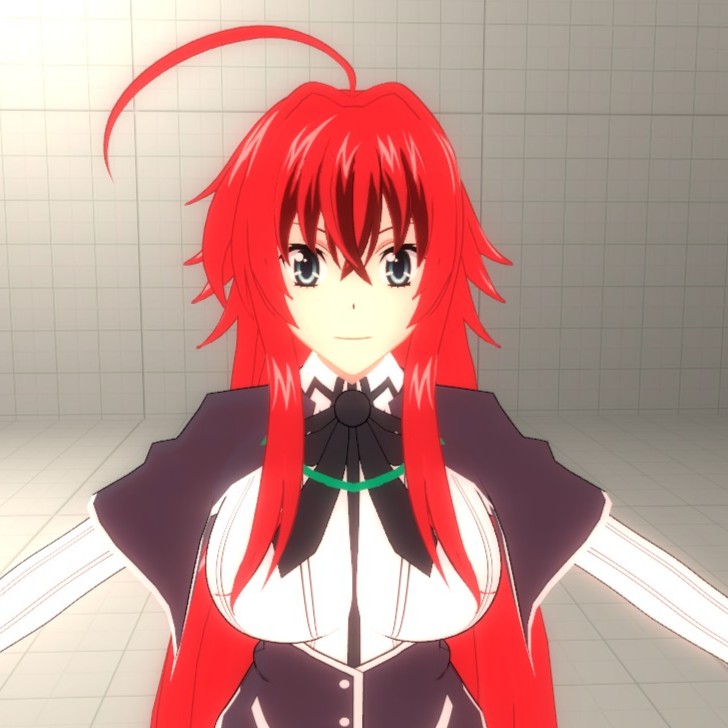 High School DxD – Rias Gremory | PM / Ragdoll