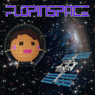 FLOPINSPACE