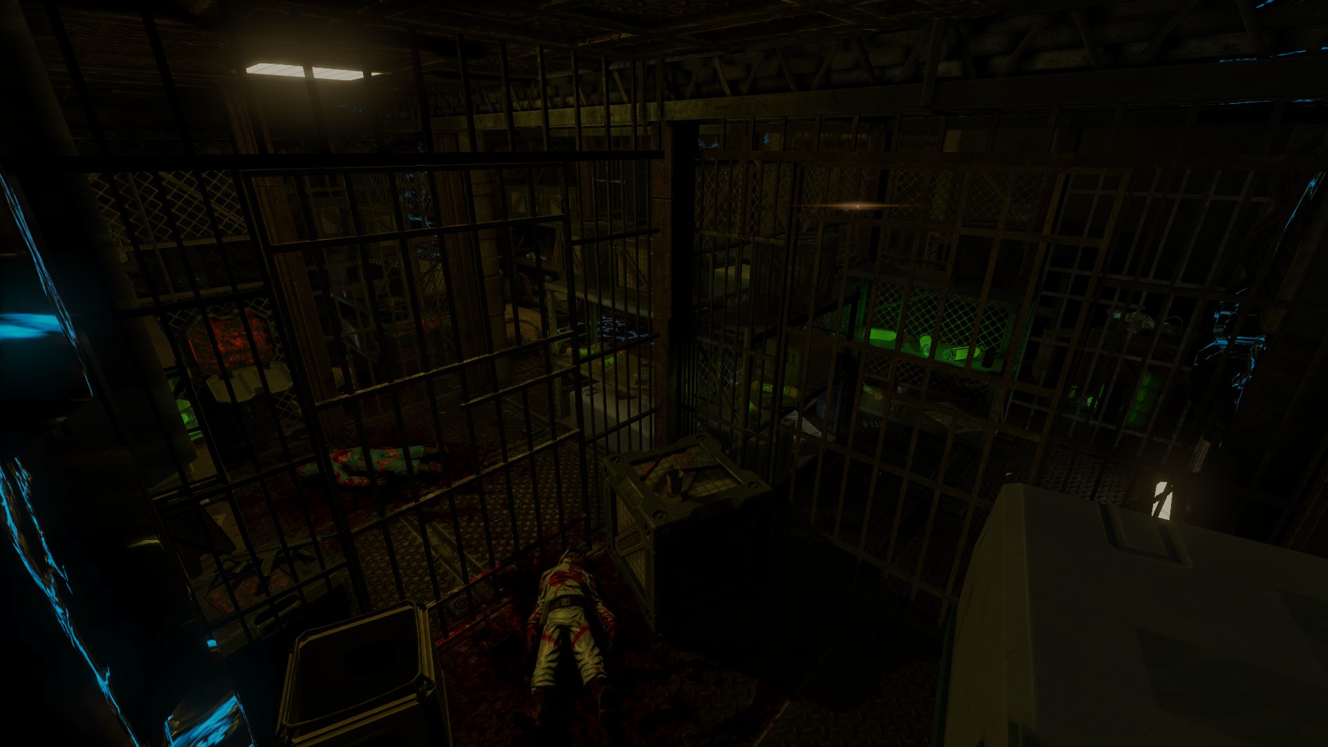 Cargo Area