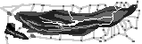 Axeilaxe (Xeon Tarin)