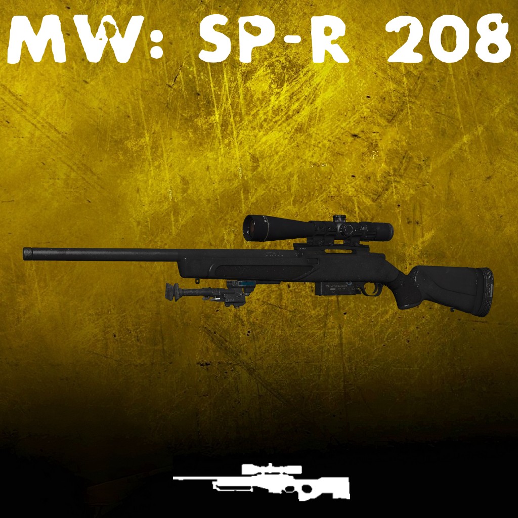 MW19: SP-R 208 (AWP)