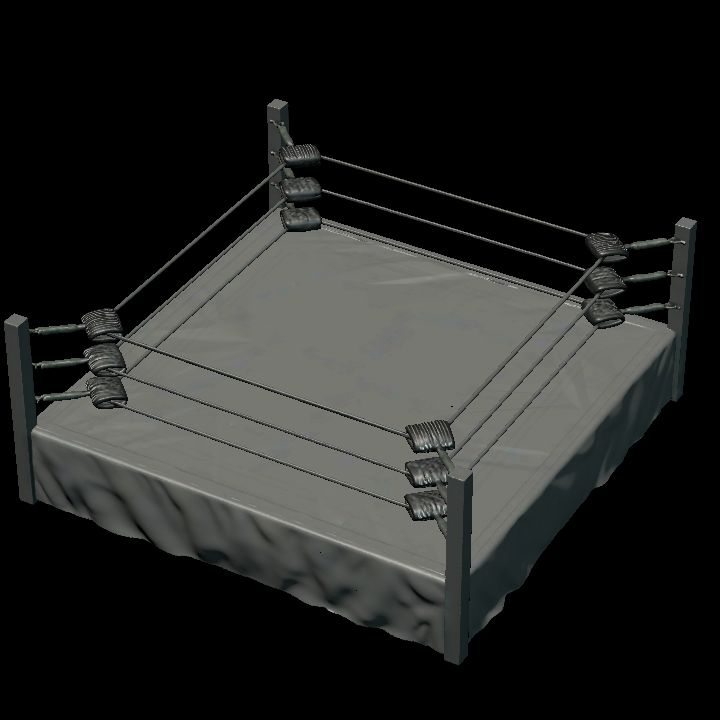 pro-wrestling ring 