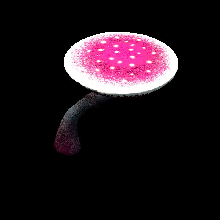 G_5_4
