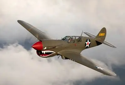 P-40 USAF (Bearguard)