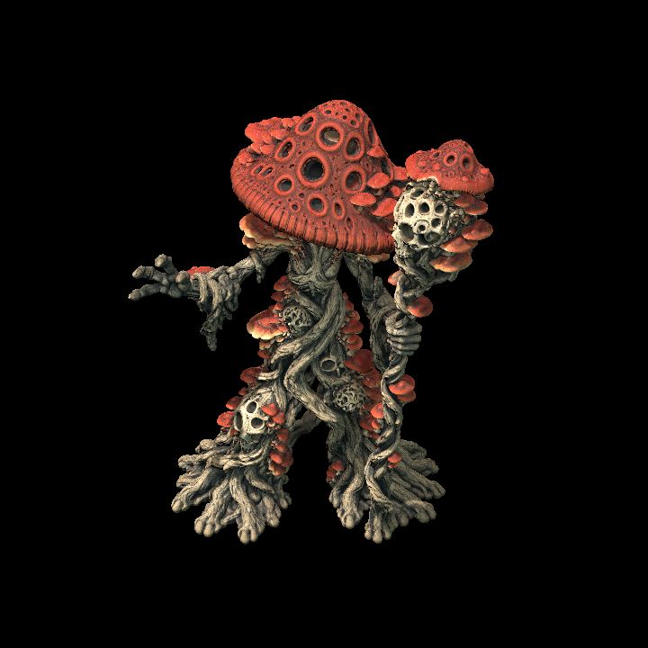 MYCONID NECROMANCER