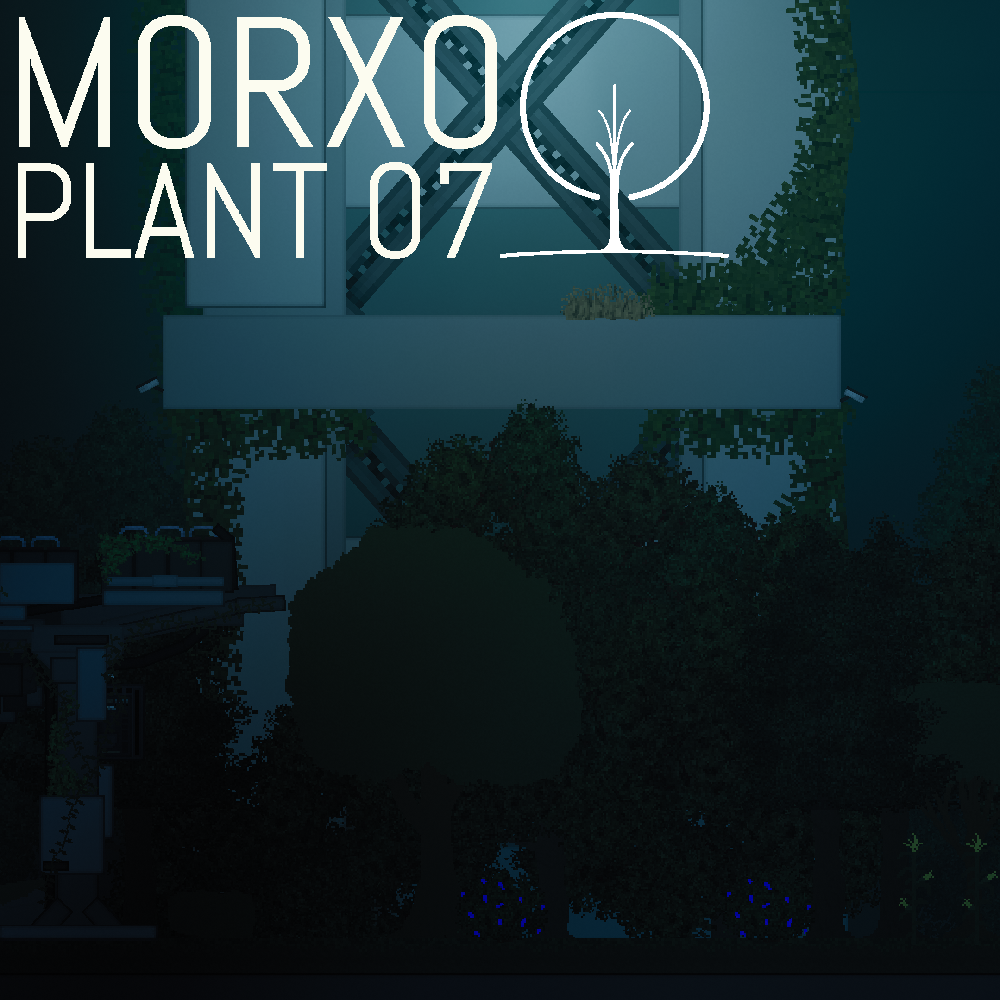 MORXO PLANT 07