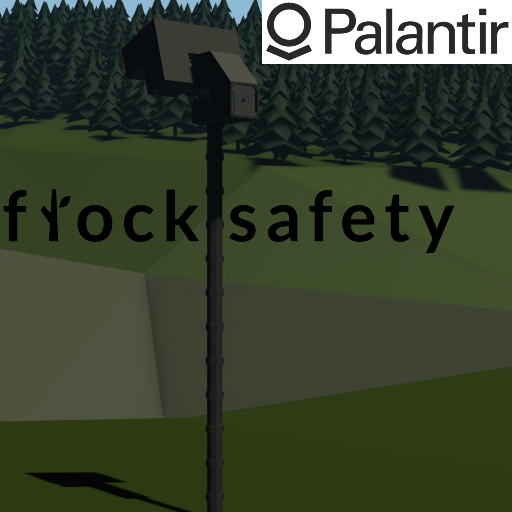 Flock security camera