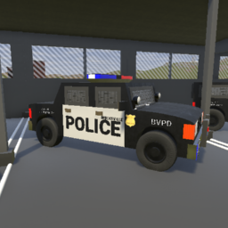 police car caged