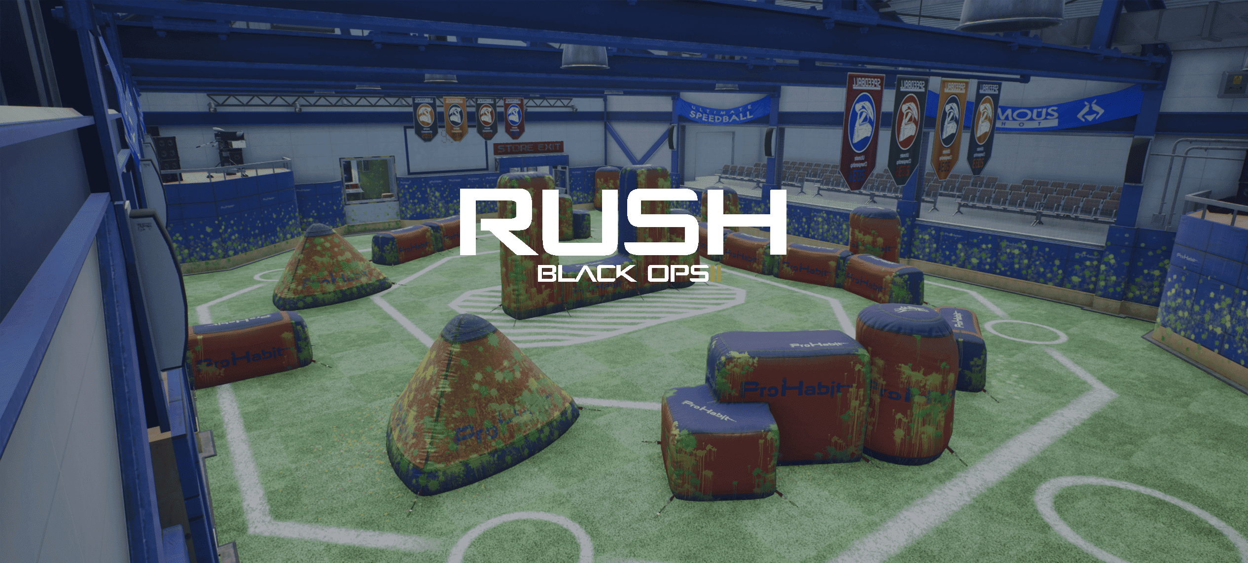 Rush B02 USE -dx11 in launch options