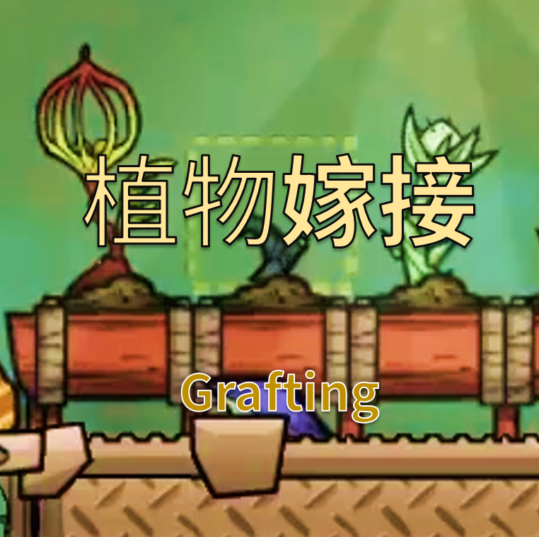 植物嫁接（Grafting）