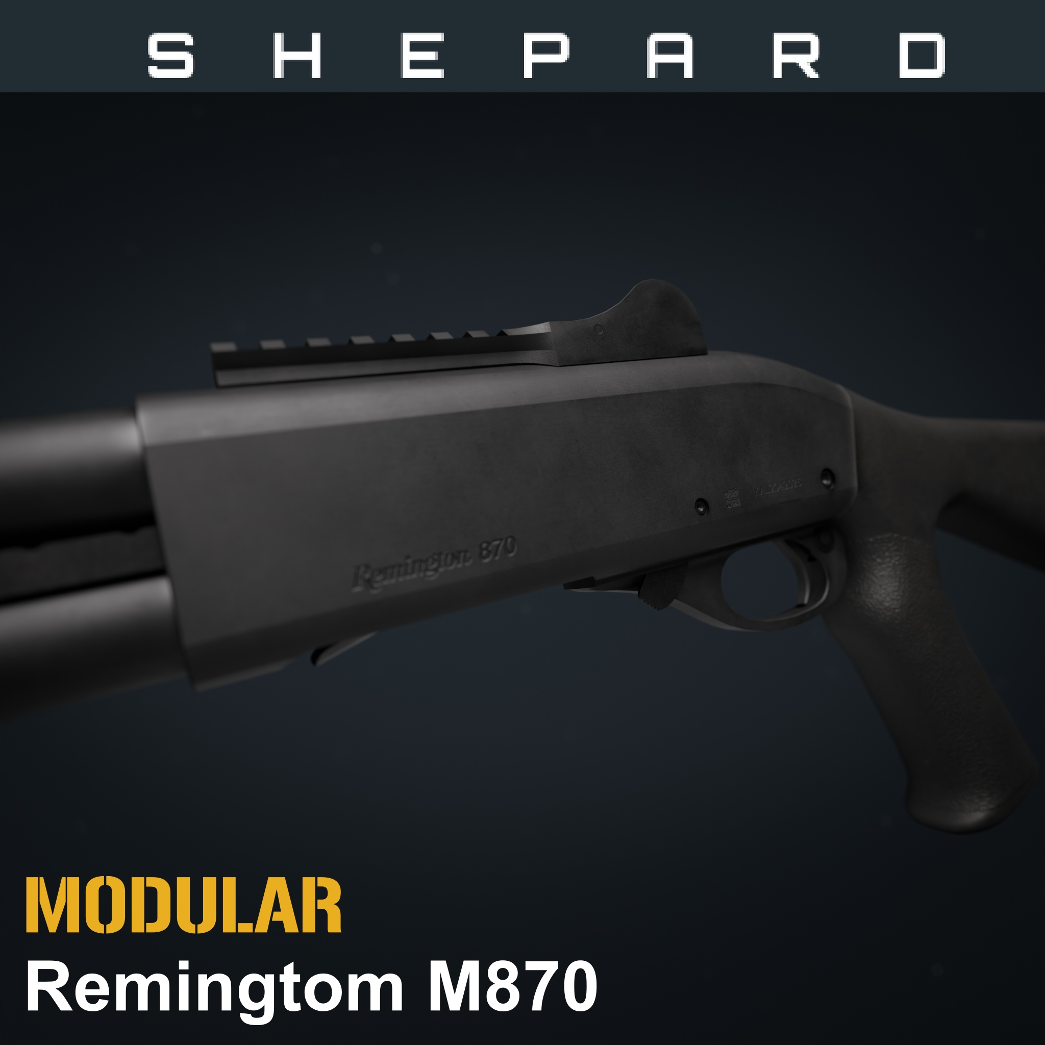 Modular M870 [v1035]