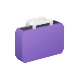 Plain Bag
