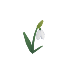 Snowdrop