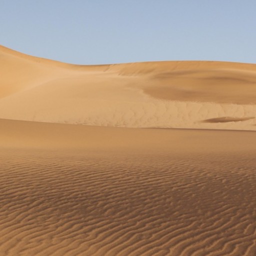 Warfighter Desert Conquest preview