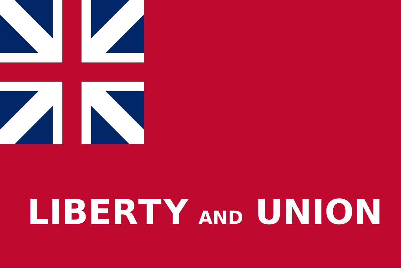 Taunton Flag preview