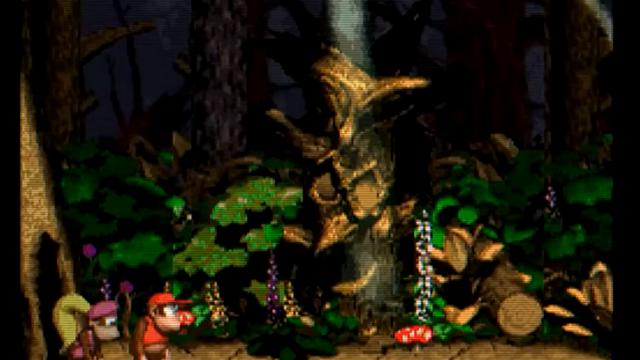 Donkey Kong Country 2 - forest interlude (death theme)