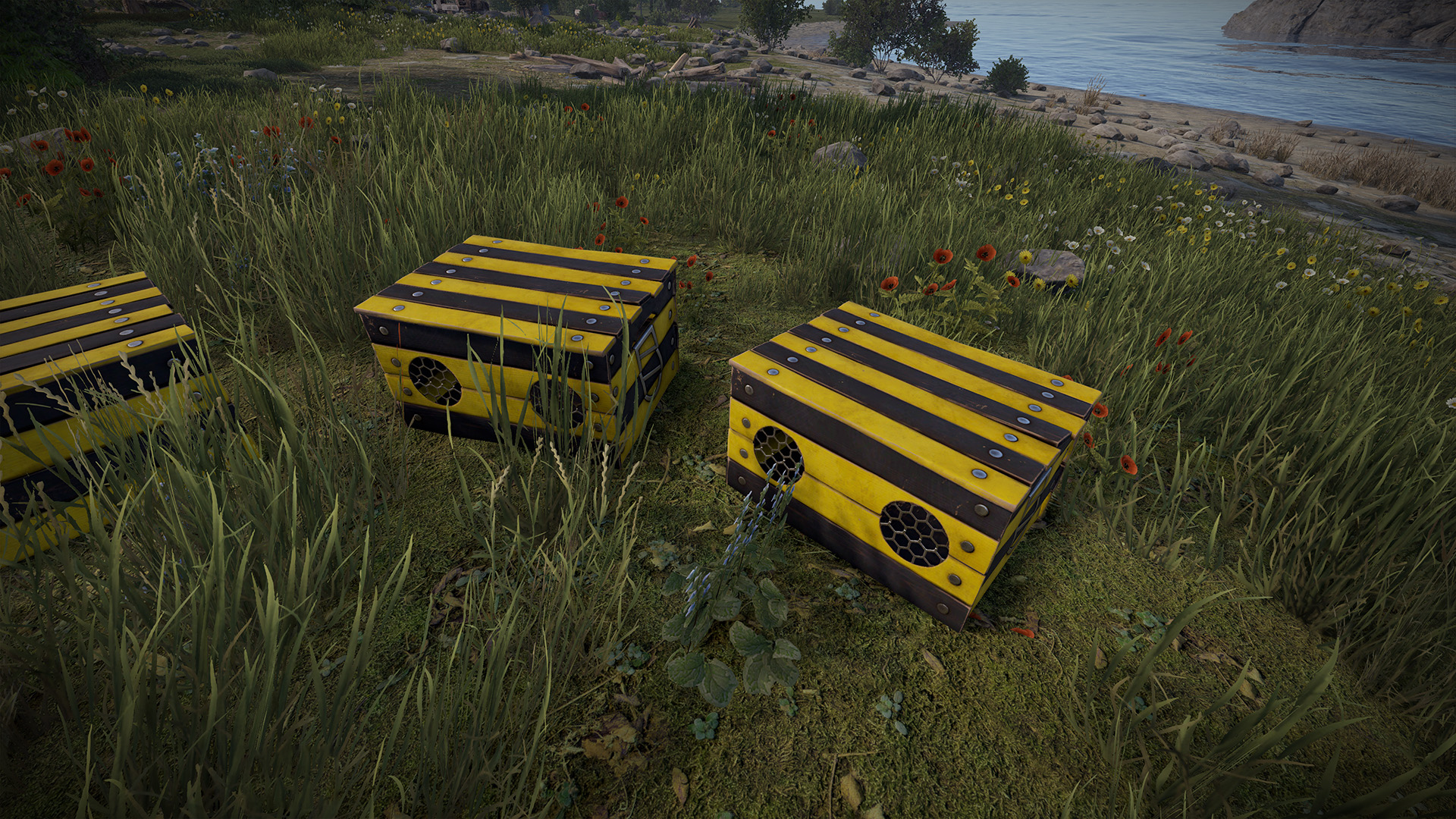 Bee Box thumbnail 5