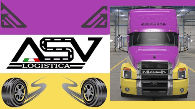 skin ASV LOGISTICA WYB