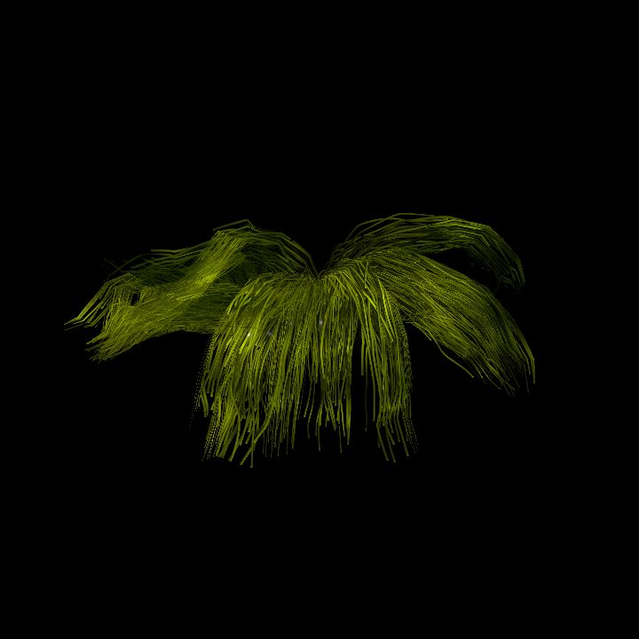 SwampTussocksSmallF_5