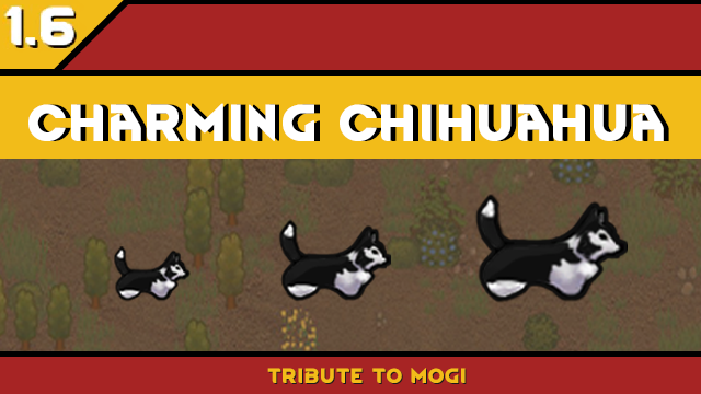 Charming Chihuahua