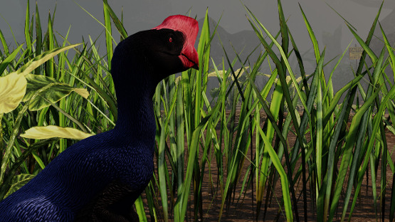 Pūkeko Oviraptor (Free Drop)