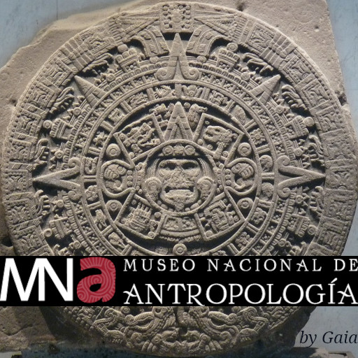 +Museum of Anthropology+