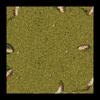 OUTSIDER 700X700 TEST AI MAP 2
