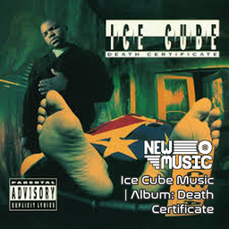 Ice Cube Music | Album: Death Certificate – Project Zomboid Mod
