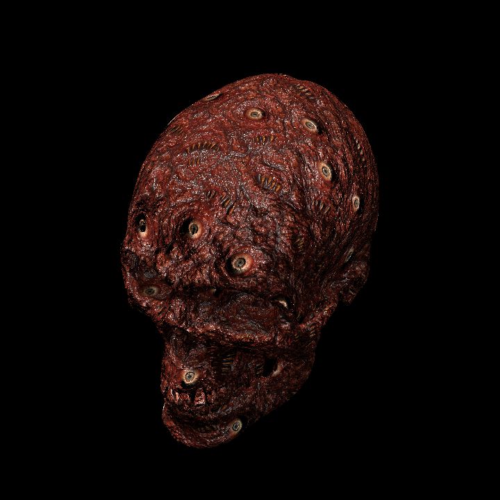 Skull of Flesh
