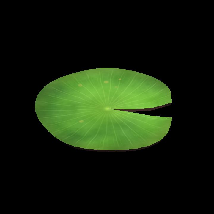 Water Lily – Small