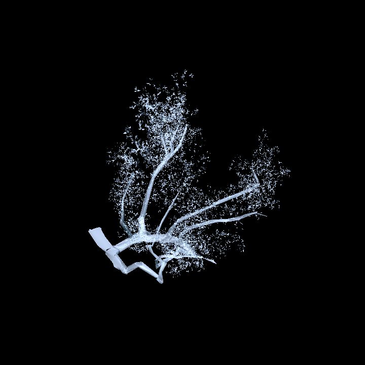 Ice - tree 4