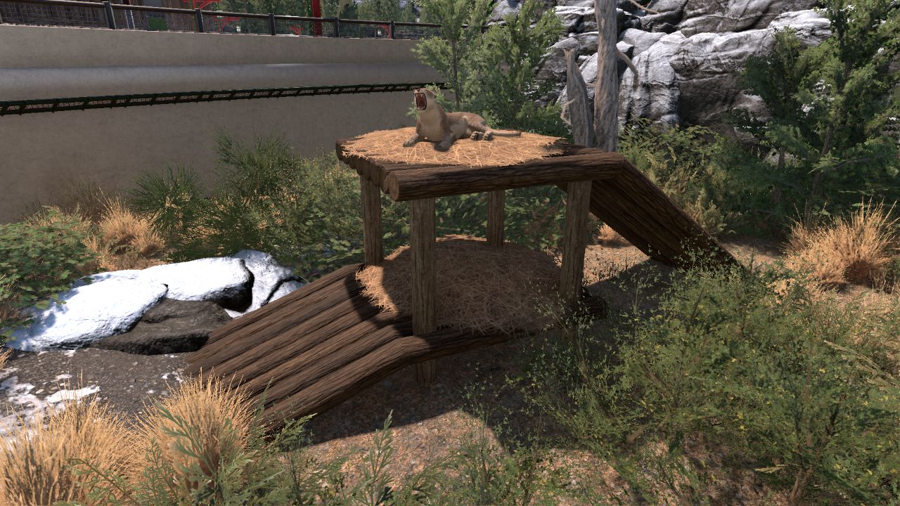 cat tree