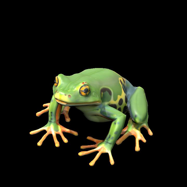 Frog 2