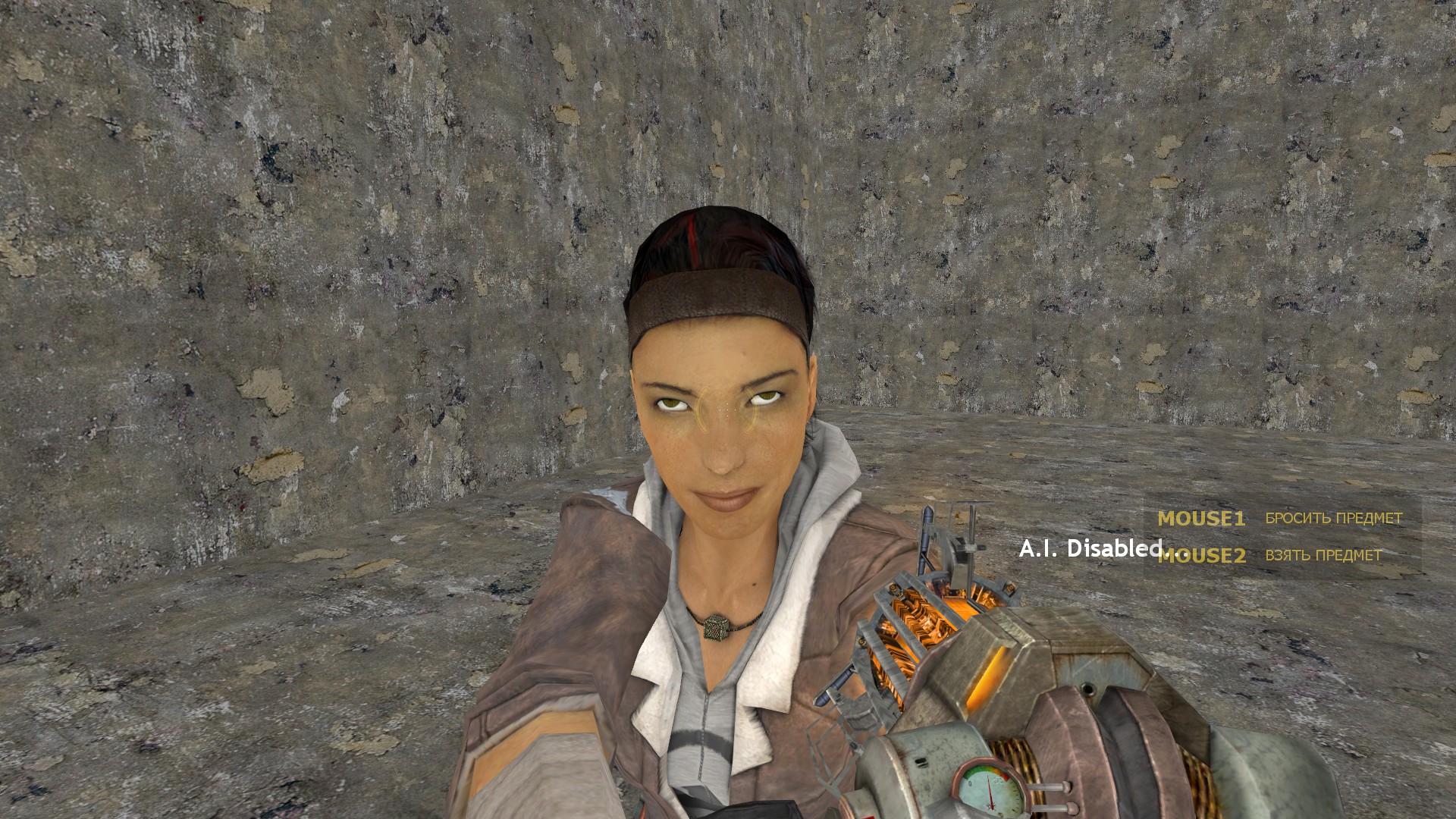 HL2 Karti