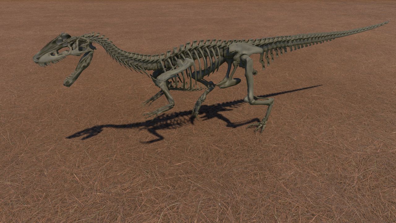 Monolophosaurus Skeleton