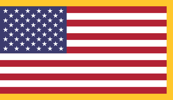 American Flag Gold Fringe preview