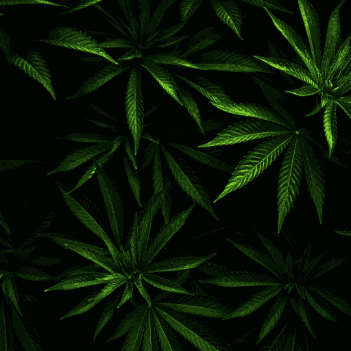 wallp01