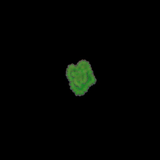 color bush