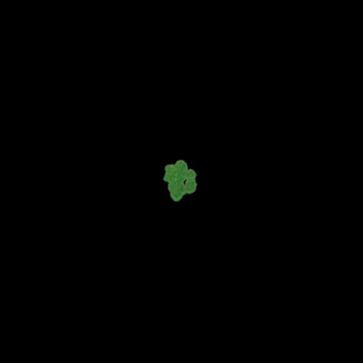 color bush_2