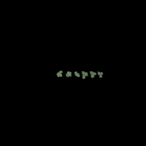 crops green leafy